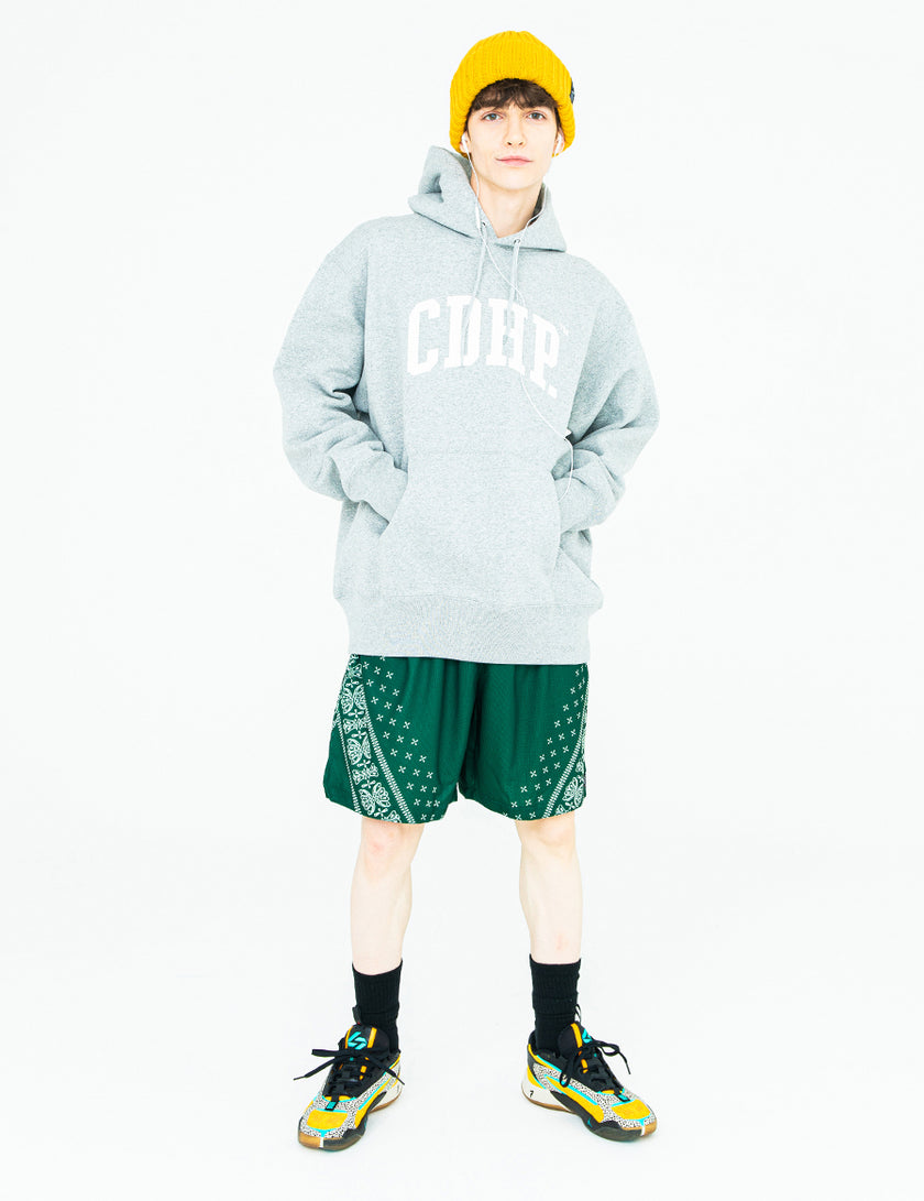 CDHP HOODIE (GRAY) - CandyHoop
